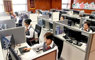 政企民共商，服務(wù)再升級(jí)——市區(qū)政務(wù)服務(wù)局召開(kāi)企業(yè)咨詢(xún)服務(wù)專(zhuān)題調(diào)研會(huì)